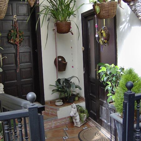 Holiday Home To The Street With Big Kitchen Icod De Los Vinos Eksteriør bilde